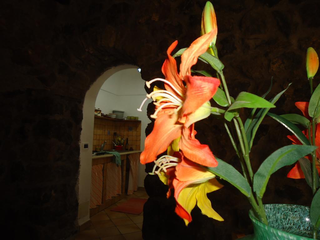 Agriturismo Zibibbodoro Scauri  Экстерьер фото