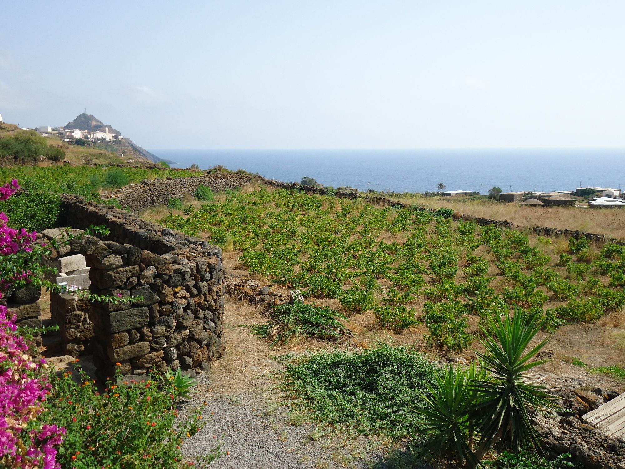 Agriturismo Zibibbodoro Scauri  Экстерьер фото